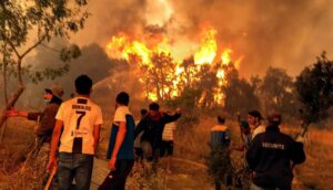 ضحايا حريق غابات الجزائر