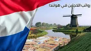 كم راتب اللاجئ في هولندا 2023